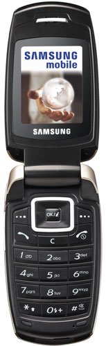 Samsung SGH-X500