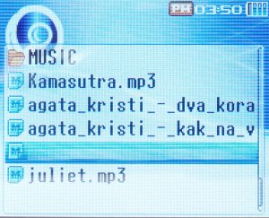 ���������� Ritmix RF-9100