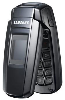 Samsung SGH-X300