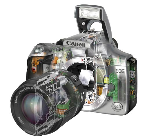 Canon EOS 300D ( 3072X2048)